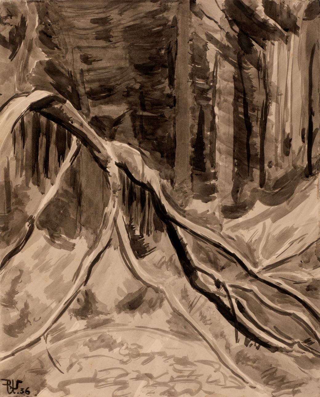 Wald